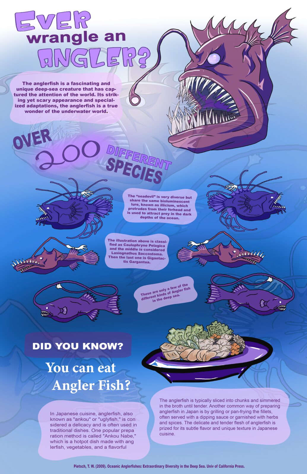 Anglerfish infographic poster with editorial identity styling